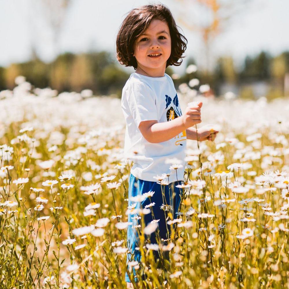 - Shorts Matteo - Blue Velours