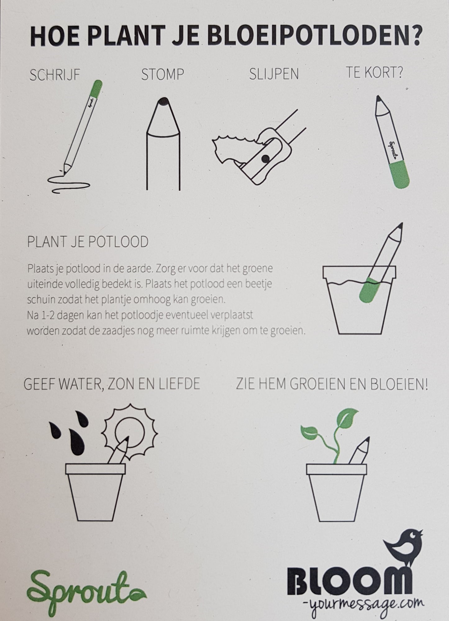 Bloeipotloden - Vergeet-Me-Niet