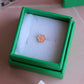 Anemone - 1 Pcs - Gold Plated - Yellow/Pink