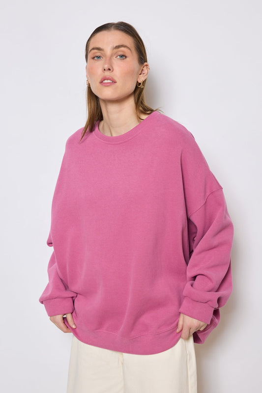 Sweater rose