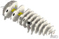 3D Boerderijdier - Schaap
